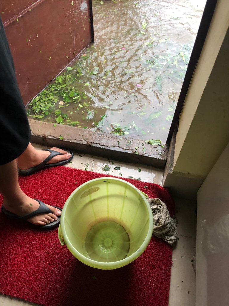 AMITABHTHAKUR21's tweet image. My house at Bhubaneswar while I am 200 kms away on duty....water inside home, glass shattered and no vegetation left #FANI #Cyclone #Cyclonefaniupdate #CycloneFani