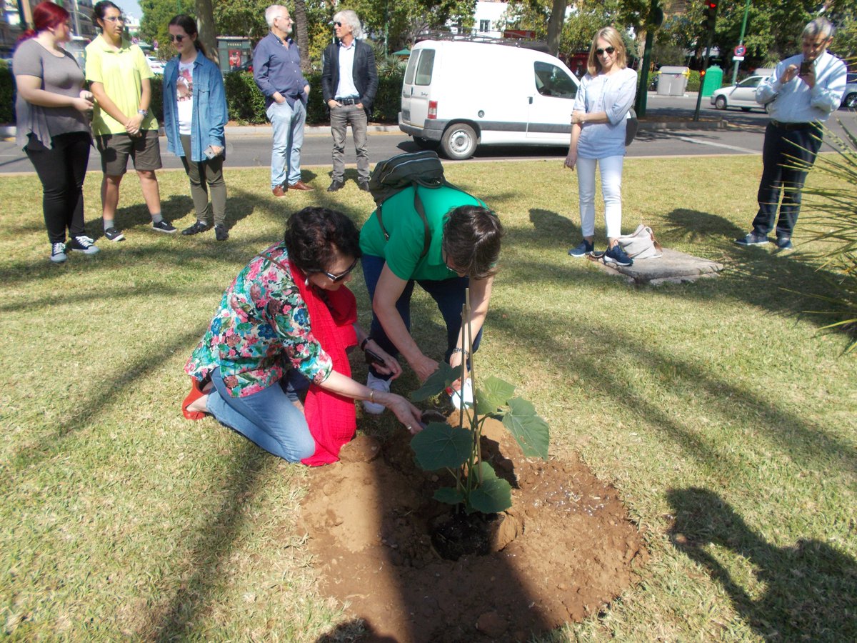 💚🌳Hemos plantado con <a href="/sevillamasverde/">Sevilla Más Verde</a> "EL ÁRBOL DE LA CIUDADANÍA" con tierras procedentes de Parques de los 11 Distritos de Sevilla. Gracias a l@s representantes que han asistido de <a href="/DefensorAndaluz/">Defensor P. Andaluz</a>, Enseñanza Pública, mundo de la Cultura y la Salud, y Organizaciones Sociales👏