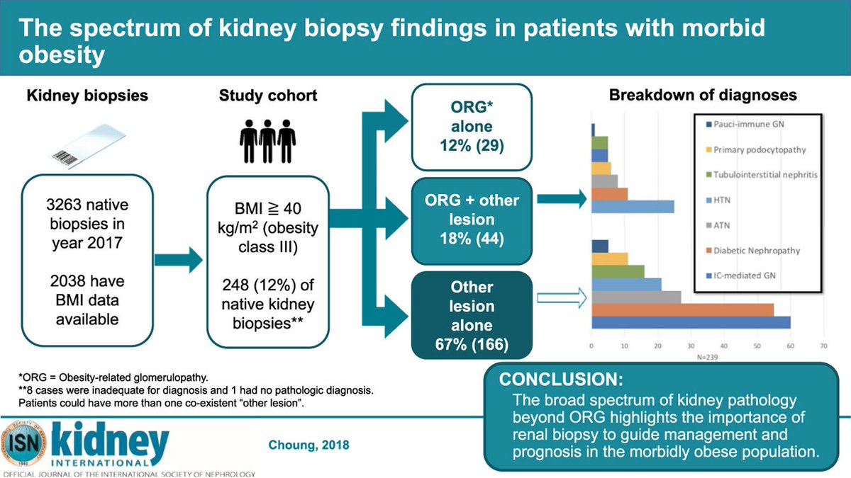 MarioAlamilla's tweet photo. There is a wide spectrum of renal pathologies associated with morbid #obesity.
#KidneyPathology #kidneydisease https://t.co/GxxH4cvVLN