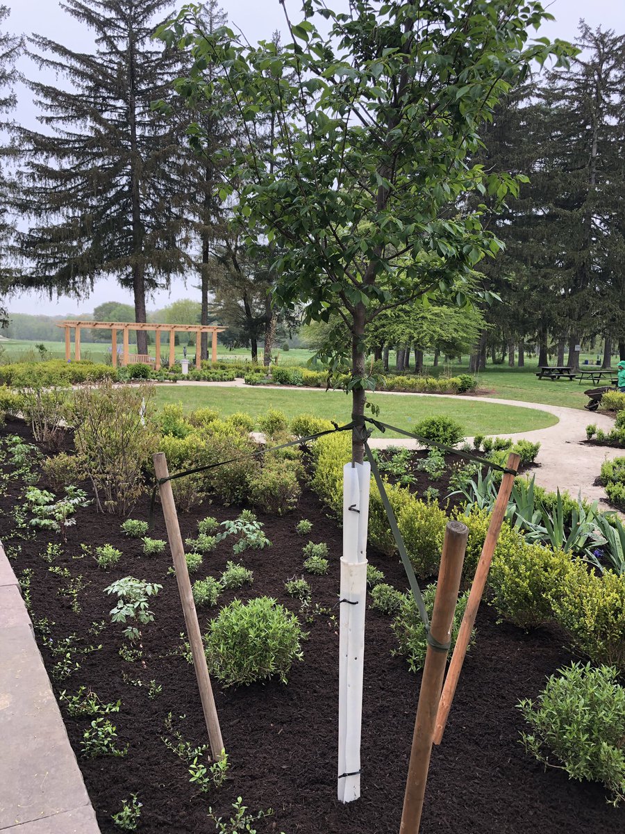 dey_mansion's tweet photo. The Garden Restoration project is near complete! Our site reopens for tours this weekend! Join us Saturday and Sunday 9:00am - 5:00pm #deymansion #colonialgarden #colonialrevival #olmsteadparks #olmsted #passaiccounty #richhistorybrightfuture https://t.co/43mISzfo3Q