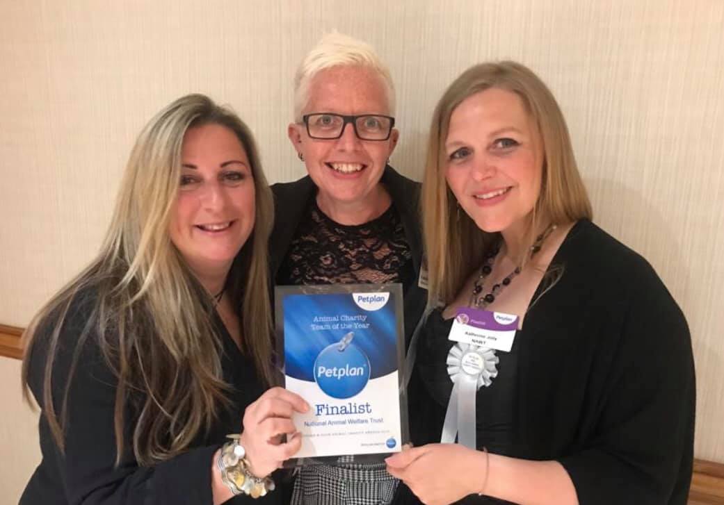 NAWT_updates's tweet photo. The #ADCHAC is over for another year, but our teams continue to fight for homeless and abandoned animals. We'd like to say a huge well done to our Hayle centre, who were finalists in the Team of the Year category, but we'd also like to thank all of YOU for your support ❤ https://t.co/6ryE5ewFHg