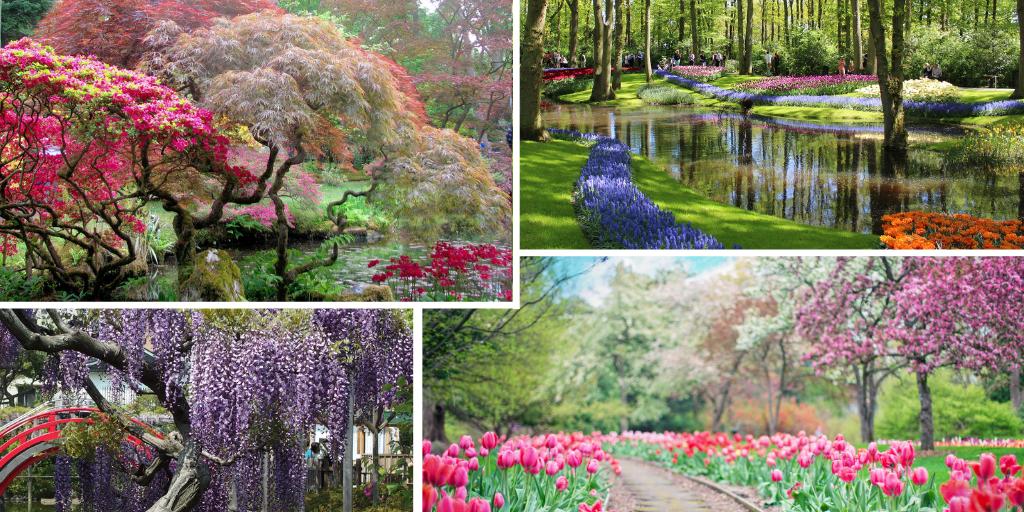 I'm proud partner of <a href="/worldloveflower/">Jeffrey & Julia - World Love Flowers</a> The place to find great #flower events! Also want to become a promote your flower tours via World Love Flowers?
worldloveflowers.com/promote-your-t…

#tulips and other #flowers explore #hollandbybike @VeritasVisit