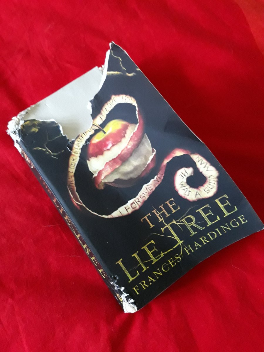 MokosBecky's tweet photo. Unable to turn the pages, our dog Ben decided to see if he could "read" the book by ingesting. #thelietree @FrancesHardinge https://t.co/HneMoxMfI3