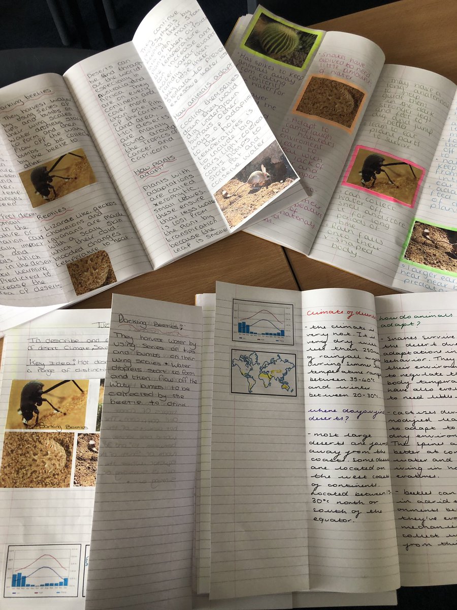 unitygeography's tweet image. Fantastic work from year 9 today when looking at the adaptations of plants and animals in a hot desert.