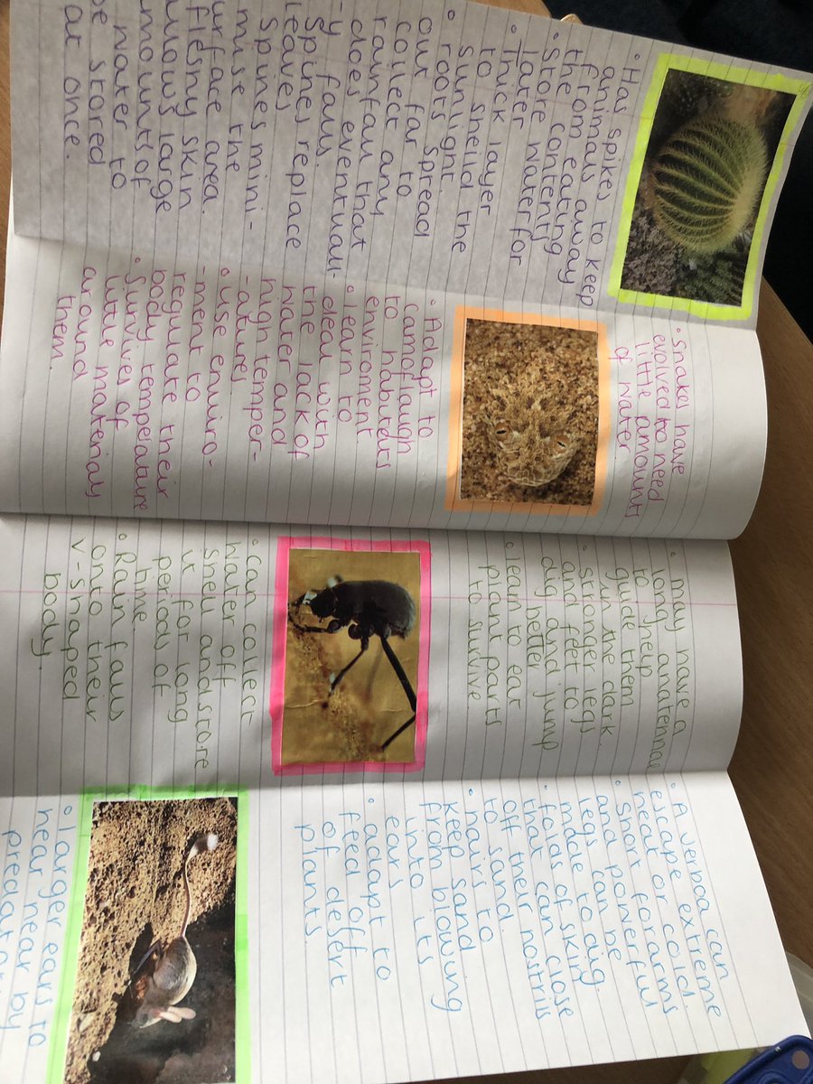 unitygeography's tweet image. Fantastic work from year 9 today when looking at the adaptations of plants and animals in a hot desert.