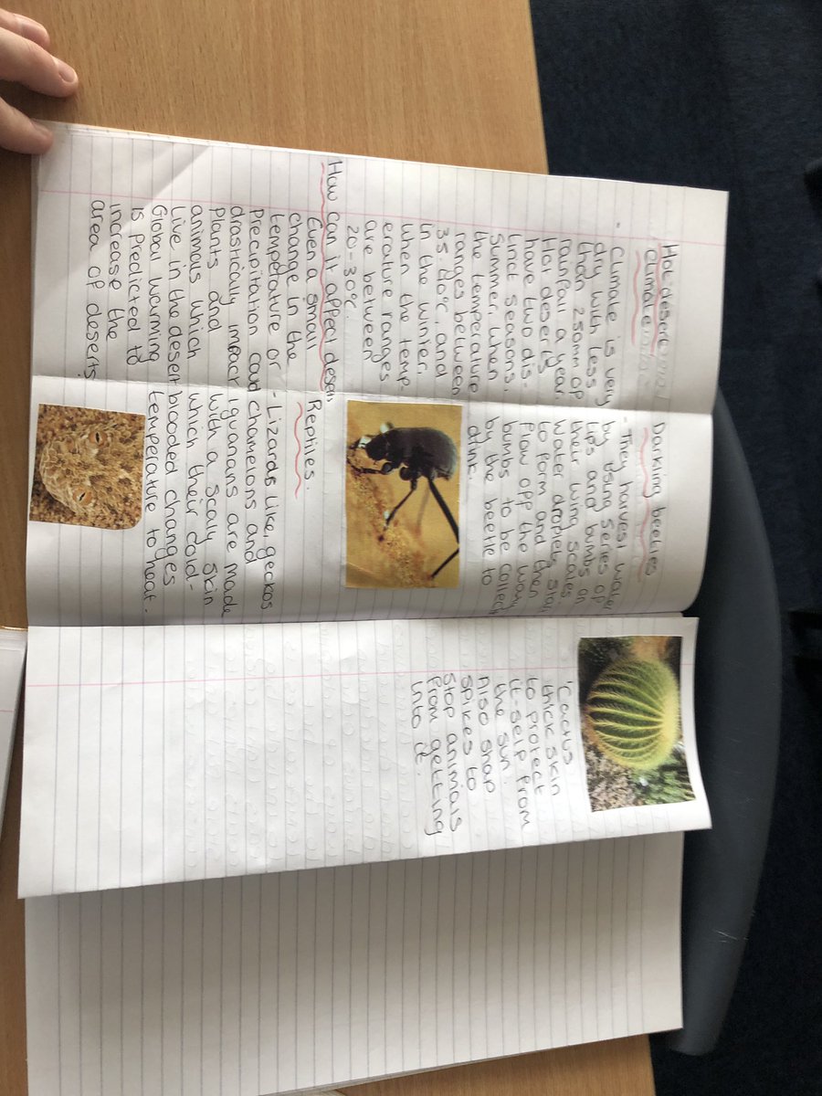 unitygeography's tweet image. Fantastic work from year 9 today when looking at the adaptations of plants and animals in a hot desert.