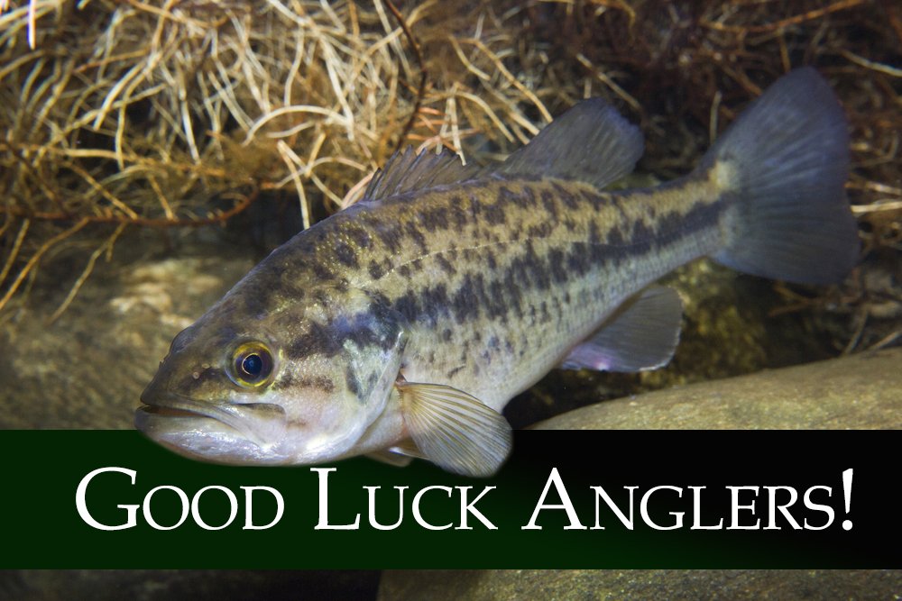 The 2019 hook-and-line game fishing season officially begins tomorrow! Good luck to all who will be out on the water!