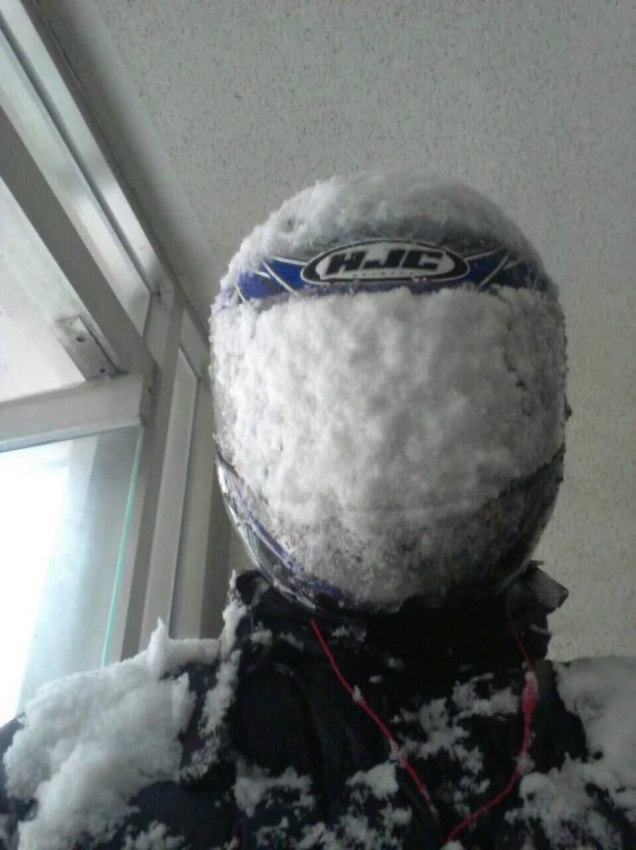 알레가 tweet media