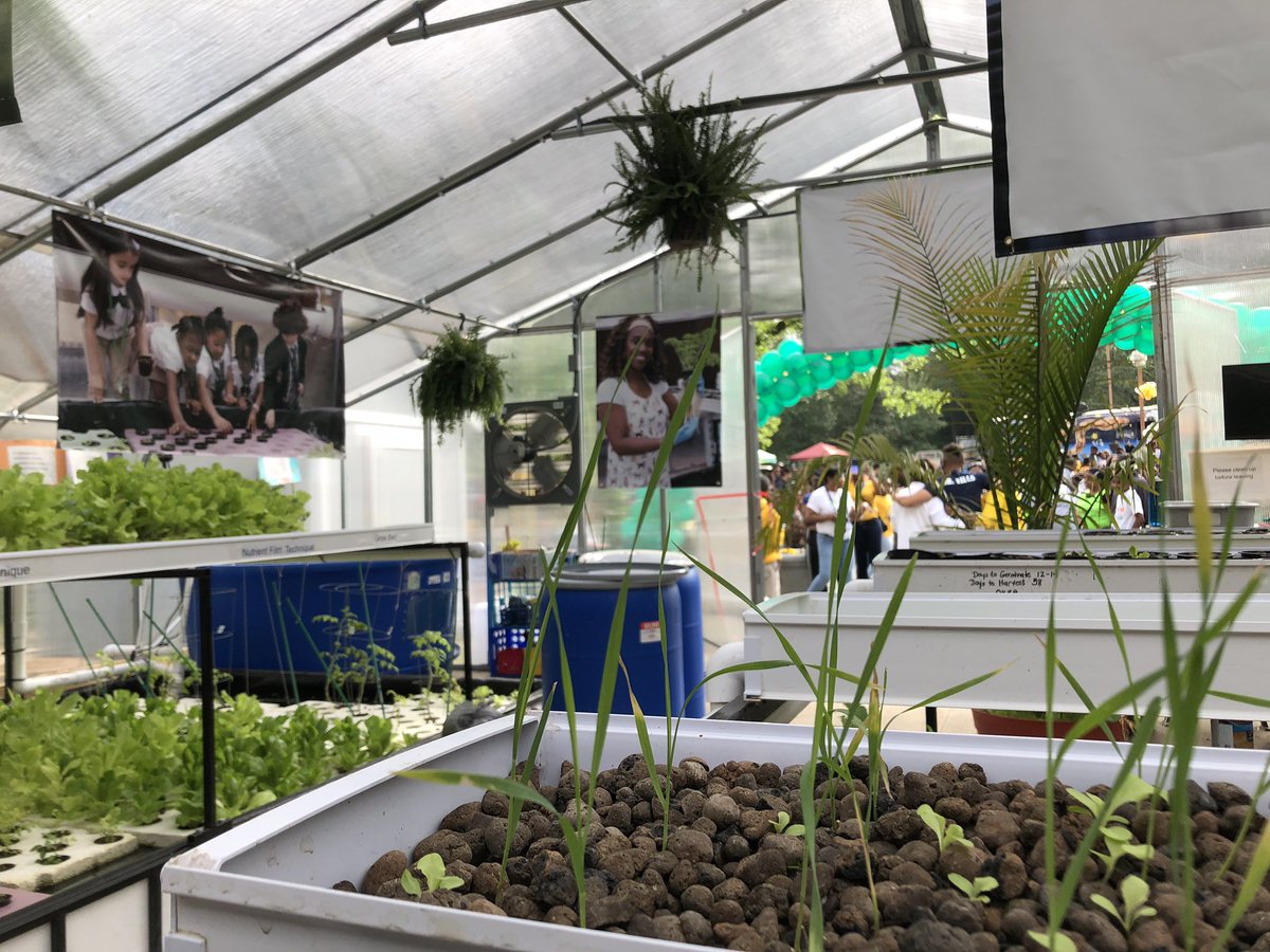 DeKalbSchools's tweet photo. Celebrating #GASTEMDay at @_Dateacademy with the ribbon cutting for a newly renovated greenhouse and aquaponics system! https://t.co/fPNeT97Rst