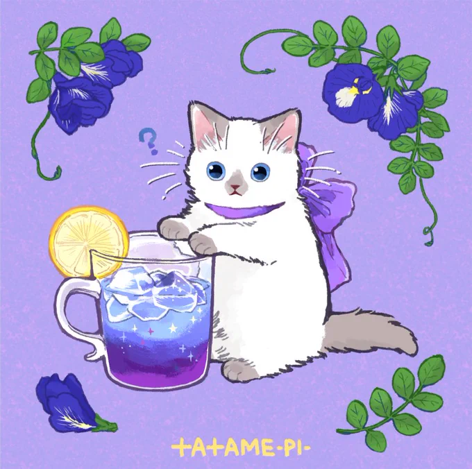 Butterfly pea? 