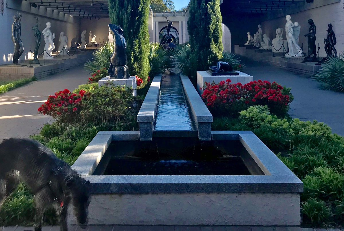 BGDeerhound's tweet image. Inspecting the Brown Sculpture Court -everything must be perfect for the Huntington Affaire! 🎩#friendsofbrookgreengardens #arthound #partylikeits1929
