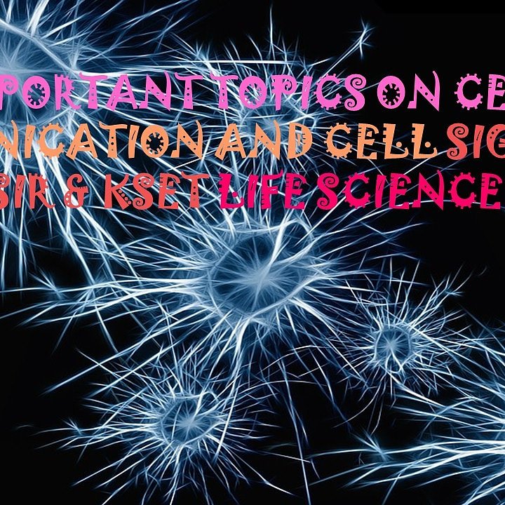 KmdWith's tweet image. youtu.be/5xeNyiXqwBo