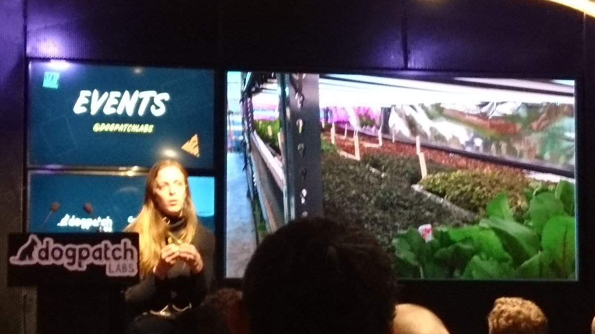 rhona_o's tweet image. You really have great speakers @dogpatchlabs for #FirstFridaysforStartups @AllisonKopf was an amazing Keynote as were both the others. 

#DigitalFirst #digitalmarketing