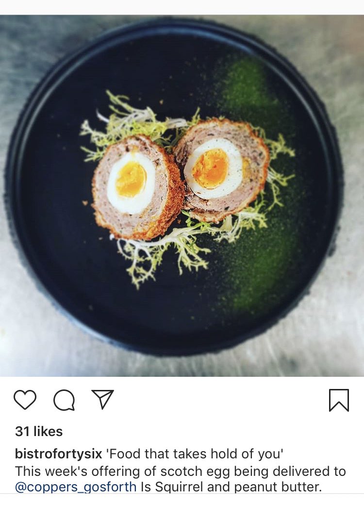Sorry for the shortage of tweets today, it’s been super busy!
Today’s scotch eggs from <a href="/bsforty6/">Bistro Forty Six</a> are squirrel and peanut butter! 

They are absolutely delicious