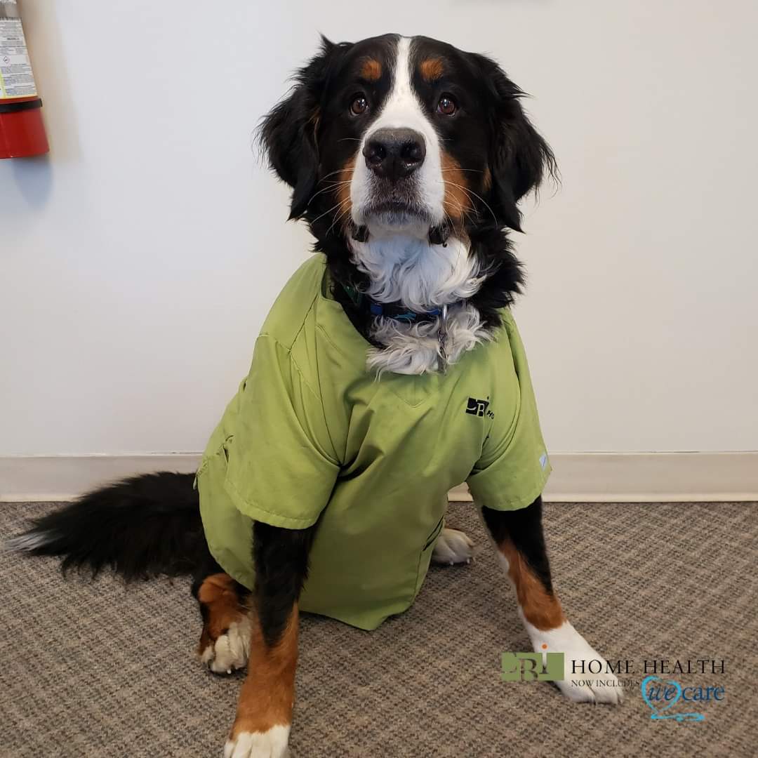 PCHServicesYYJ's tweet photo. From Nursing &amp; Live in Respite Care to Personal Support &amp; Advanced Footcare, we are always ready to go..... and so is Mickey😉
Got questions? Call (250) 389-0202. 💙
#atCBIwecare #yyj #victoriabc https://t.co/WDY7i5UoXI
