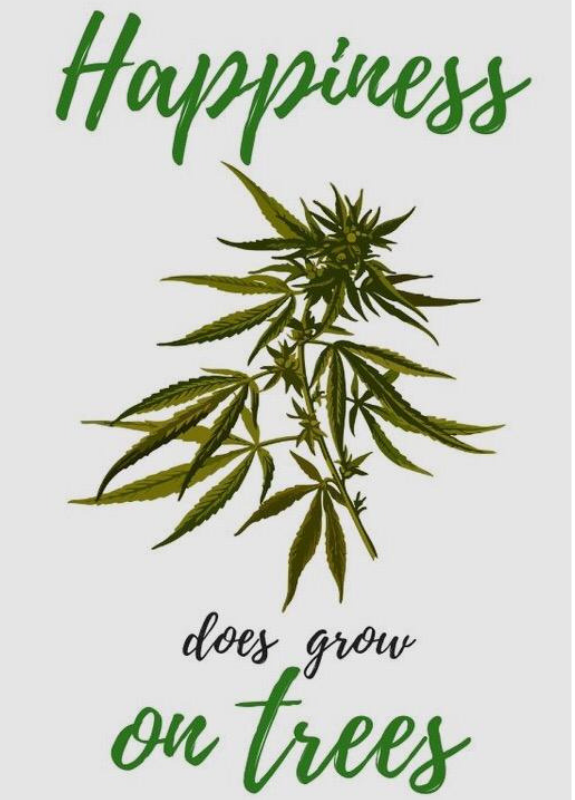 ANOCBD's tweet photo. #behappy ☺ https://t.co/zYQ9mf4kBe