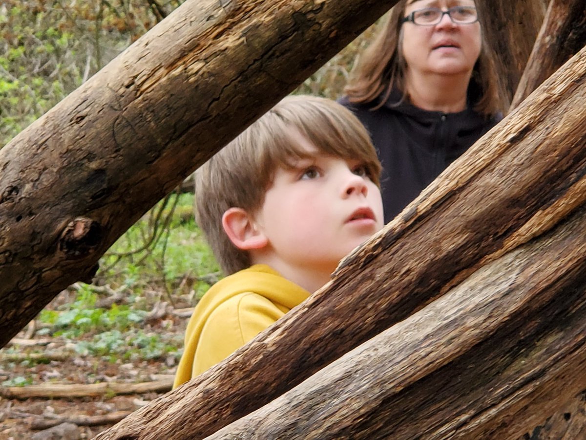 KStrzempka's tweet photo. Shelter building! Such concentration!#GVCampStorer https://t.co/tm8BAliM4u