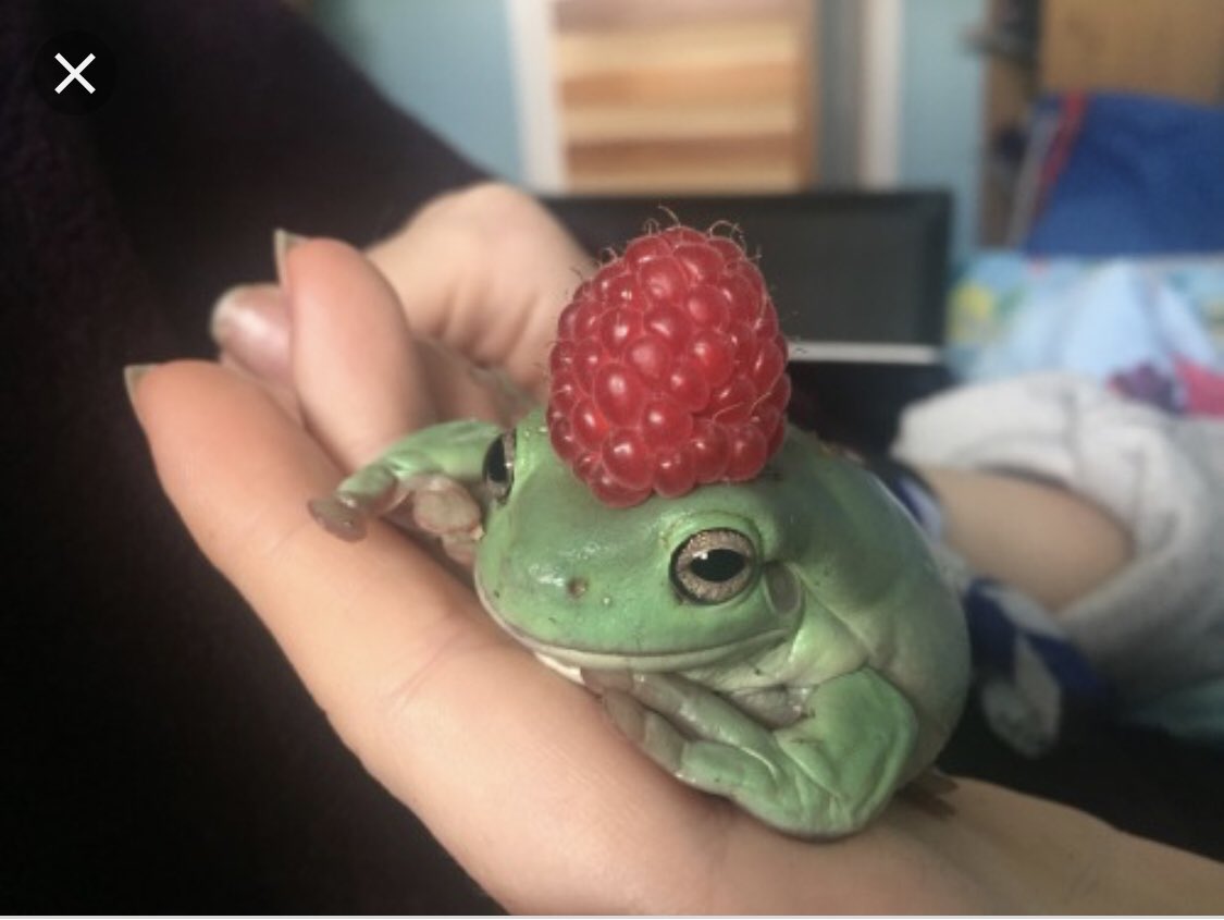 When you have a nice hat and someone mentions it and you feel nice