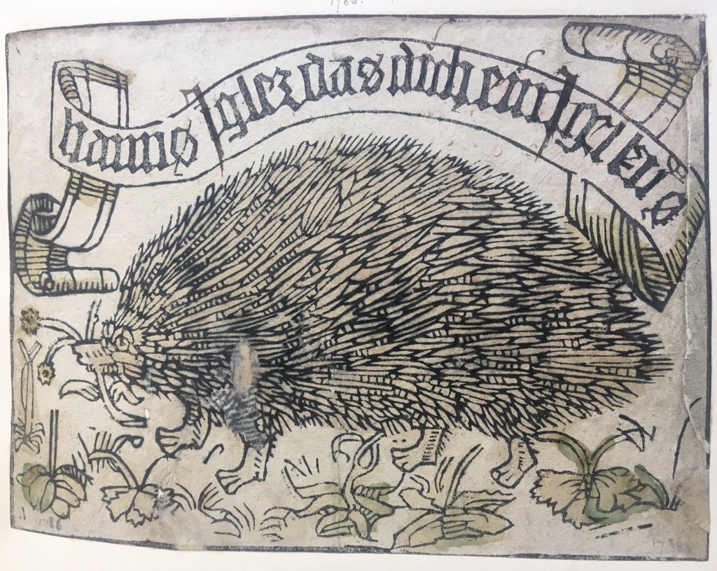 Olenka_prints's tweet photo. I return from a short twitter hiatus to bring you the bookplate of one Hans Igler ( #hedgehog in German), described by Dodgson as one of the earliest bookplates known to him, c. 1480 π¦ https://t.co/A9VI5NulbK