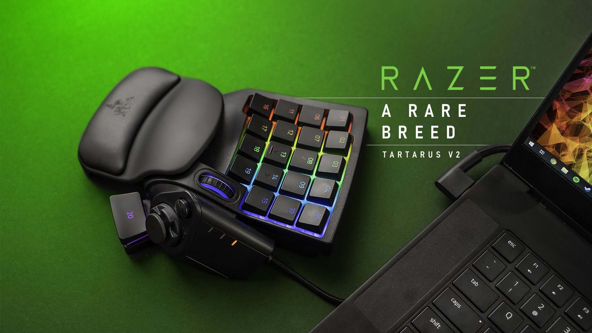 sekundær nåde Geografi Hardware Canucks on Twitter: "Gaming keypads might need to make a comeback!  ⌨️ Let's find out why by taking a look at the @Razer Tartarus v2. 🐍🐍  https://t.co/xW9eTYE3yJ https://t.co/UUSQyPtZI2" / Twitter