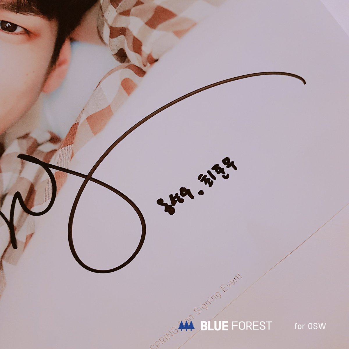 BLUE FOREST tweet media