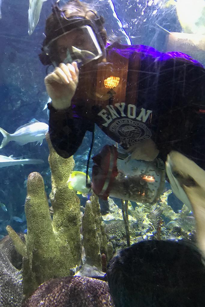 KenyonCollege's tweet photo. Our Path Forward is going swimmingly! The Kenyon community in Chicago learned about moving #KenyonForward at @shedd_aquarium yesterday evening. π π π¦ π¬ https://t.co/8nbWZaqEK0
