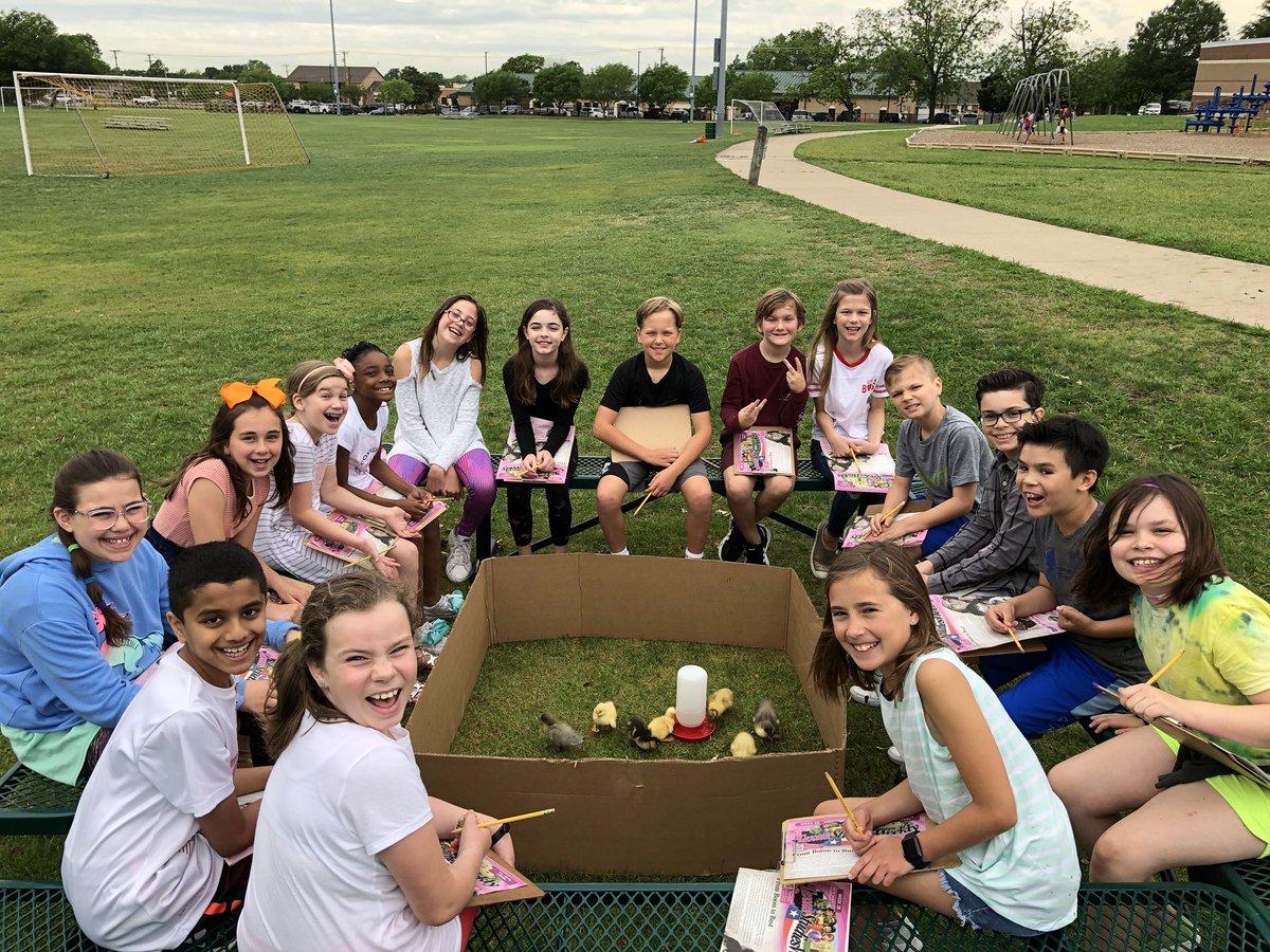 clover_renee's tweet photo. Today my students were teaching Texas history to our ducklings! Ohh the joys of Springtime! #weareaphe https://t.co/GqJ3CKoFFt