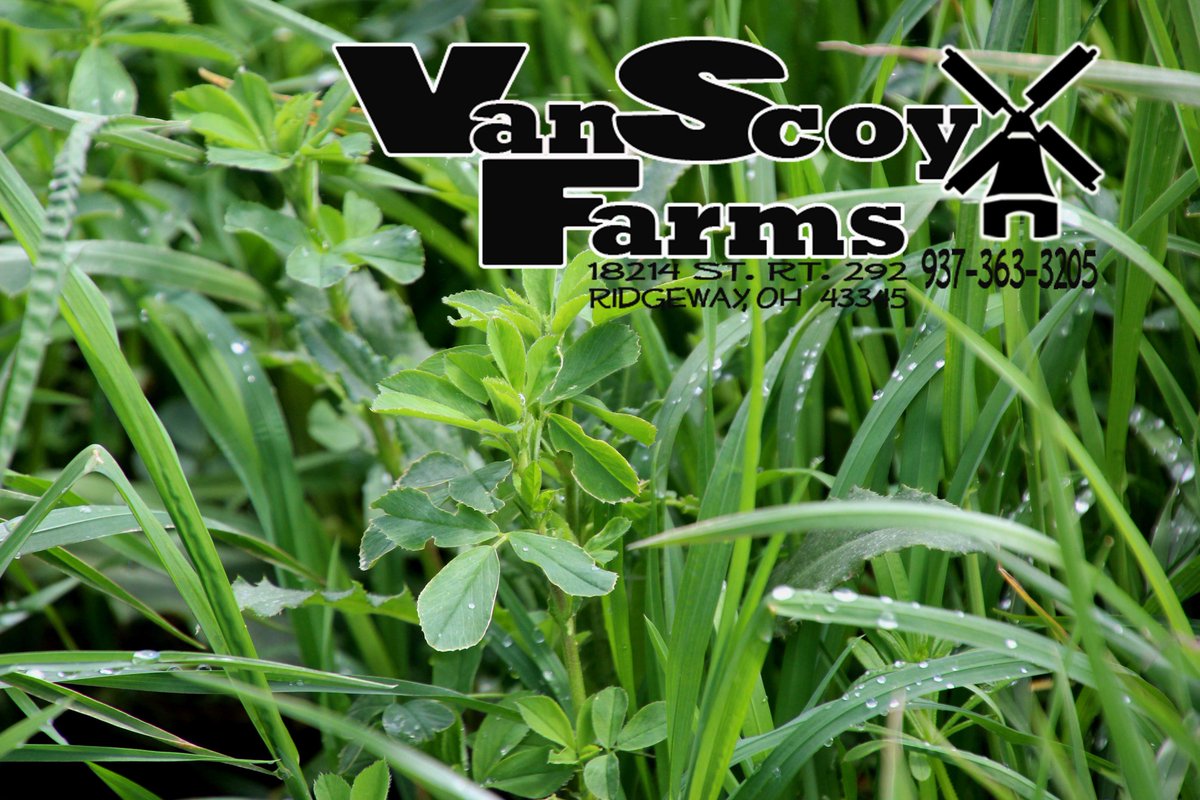 FarmsVanScoy's tweet photo. #Hay is growing. Contact #VanScoyFARMS to get our #reservedhay https://t.co/Jt9FLrM8A9