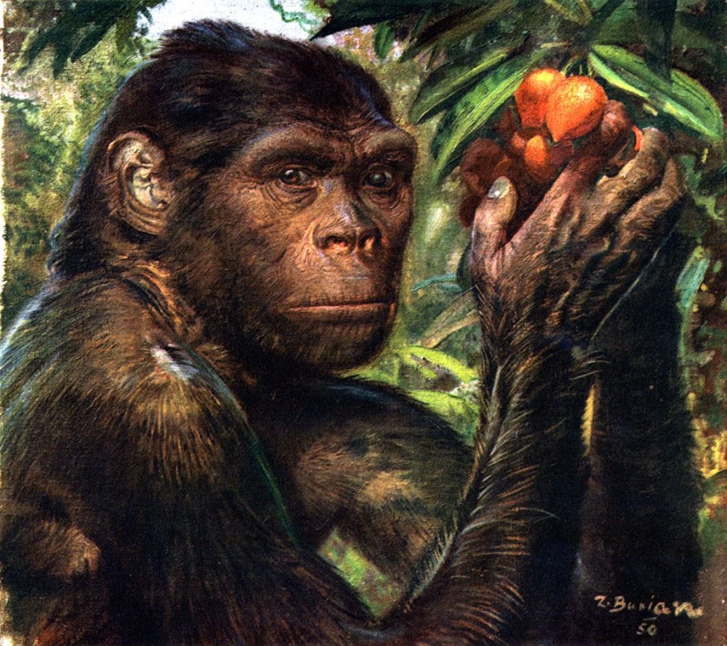 Петя Кантрöп 🟩🟩🟩⬜️7️⃣5️⃣% tweet media