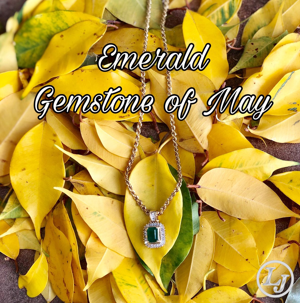 lauries_jewelry's tweet photo. The gemstone of May, Do you already have the gift for mom?Visit us to see much more
📍3154 Bill Beck Blvd Kissimmee Fl .
#Emeralds #Necklace #Ring #bracelets #Bangles #Bands #Sharms #May #gemstones #exclusivedesigns #giftformom #Love #Present #lauriesjewelry #goodprice https://t.co/0zCR2kg3Ks