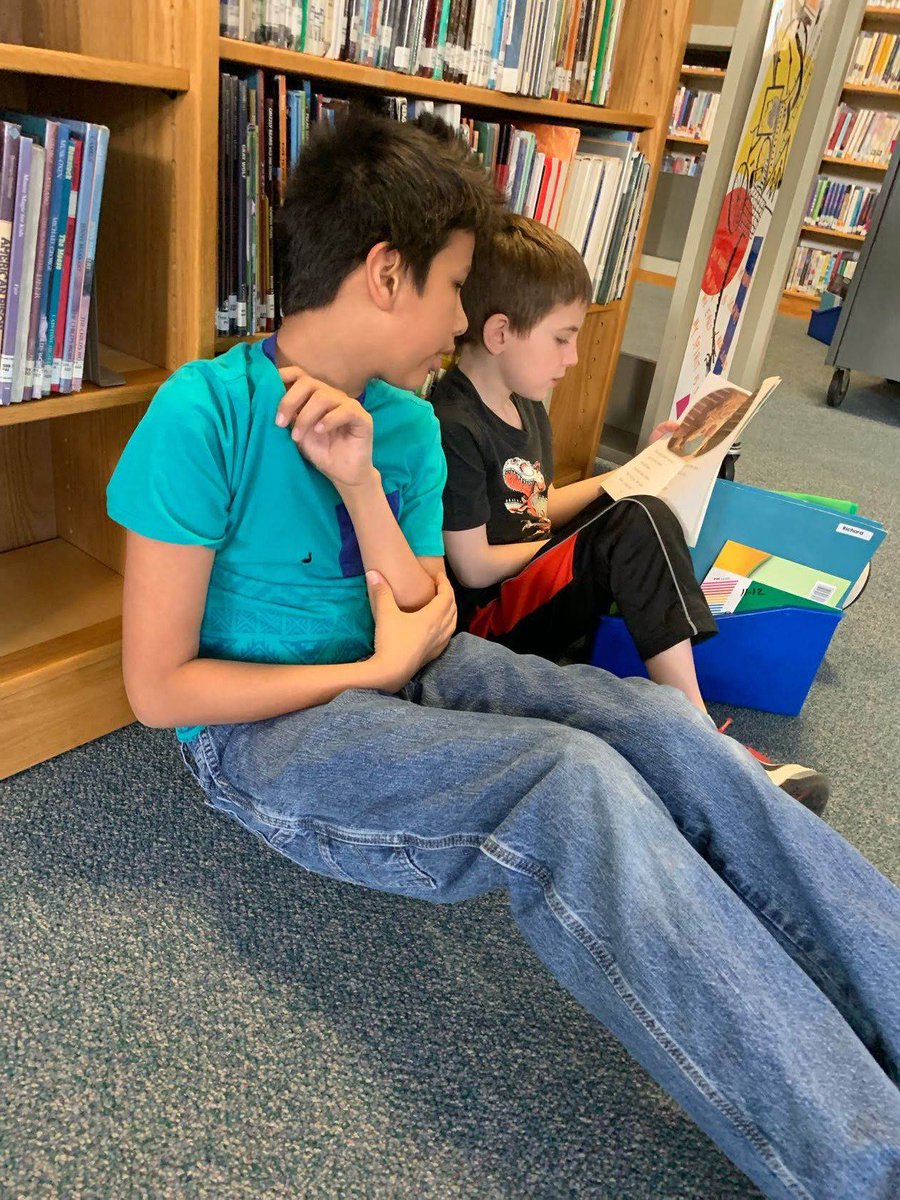 Arbor Vitae - Woodruff School tweet media