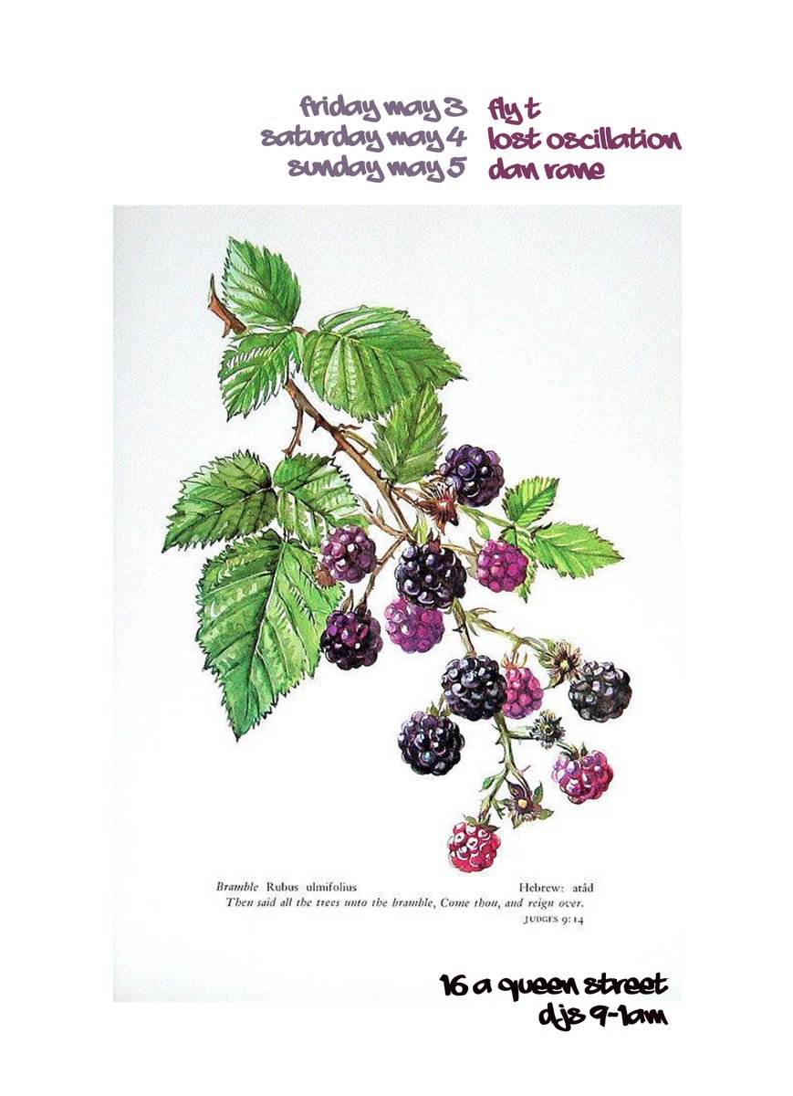 DJs 3 nights in a row, 9-1AM. Have you tried a Bramble cocktail before? If not, we named our bar after the delicious gin cocktail classic created by a bartending legend, Dick Bradsell. #brambleinbramble  #hiphop  #Edinburgh  #cocktails #gin