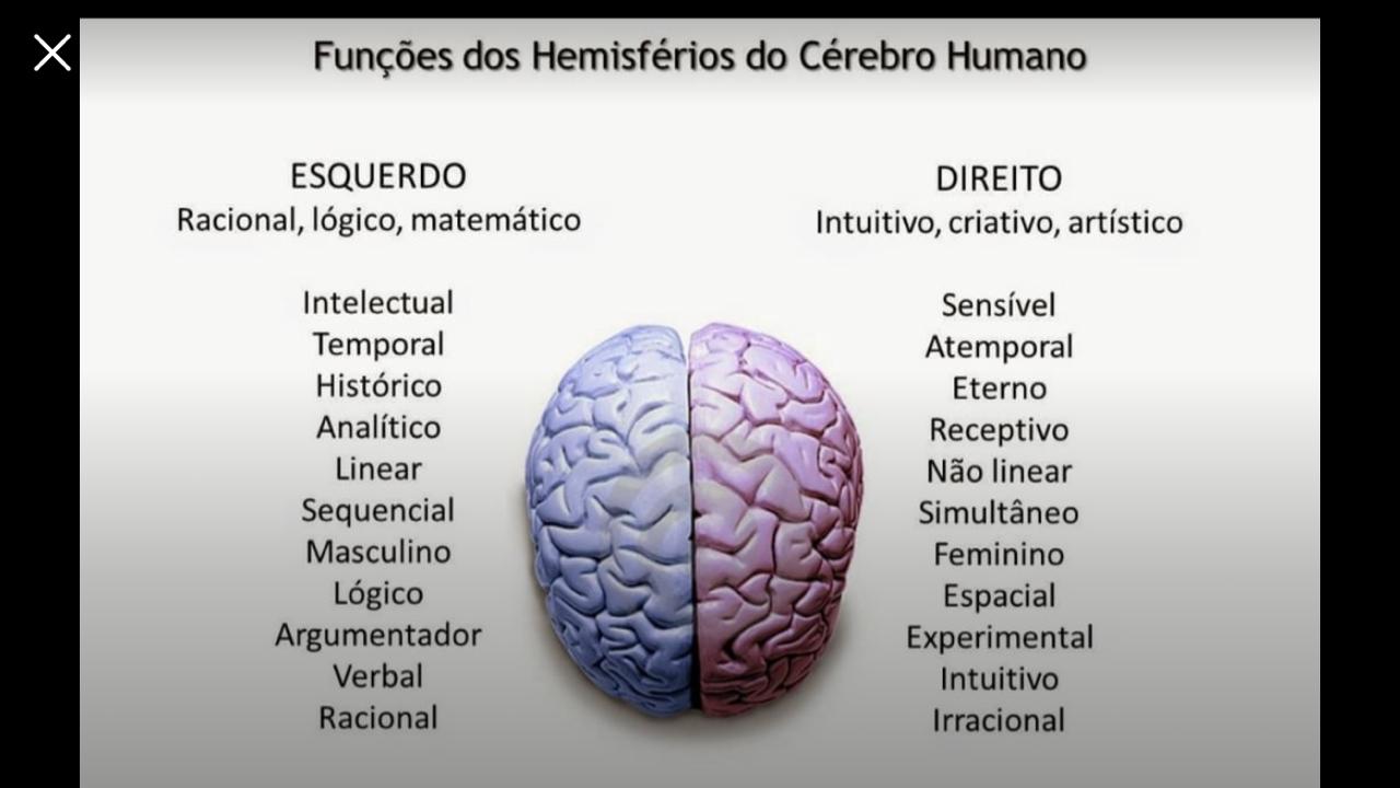 Cérebro lado esquerdo-lado direito: Raciocínios visual e numérico