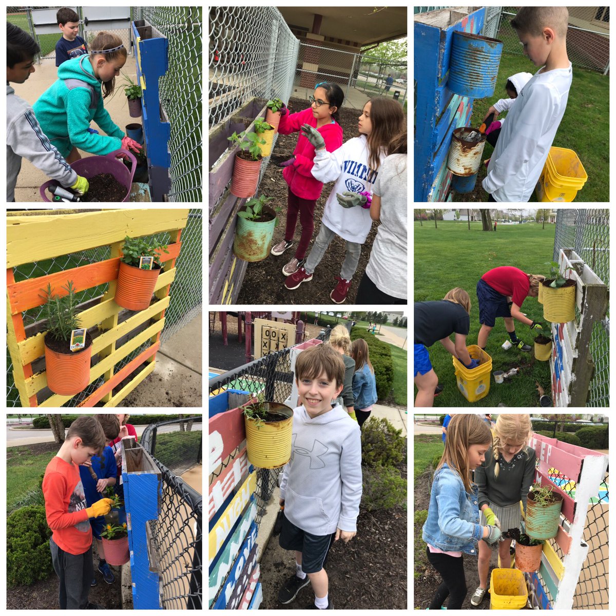 Planting in our pallet gardens today. Herbs, flowers, and veggies. #TCEcardinals #projectwork #GlobalGoals