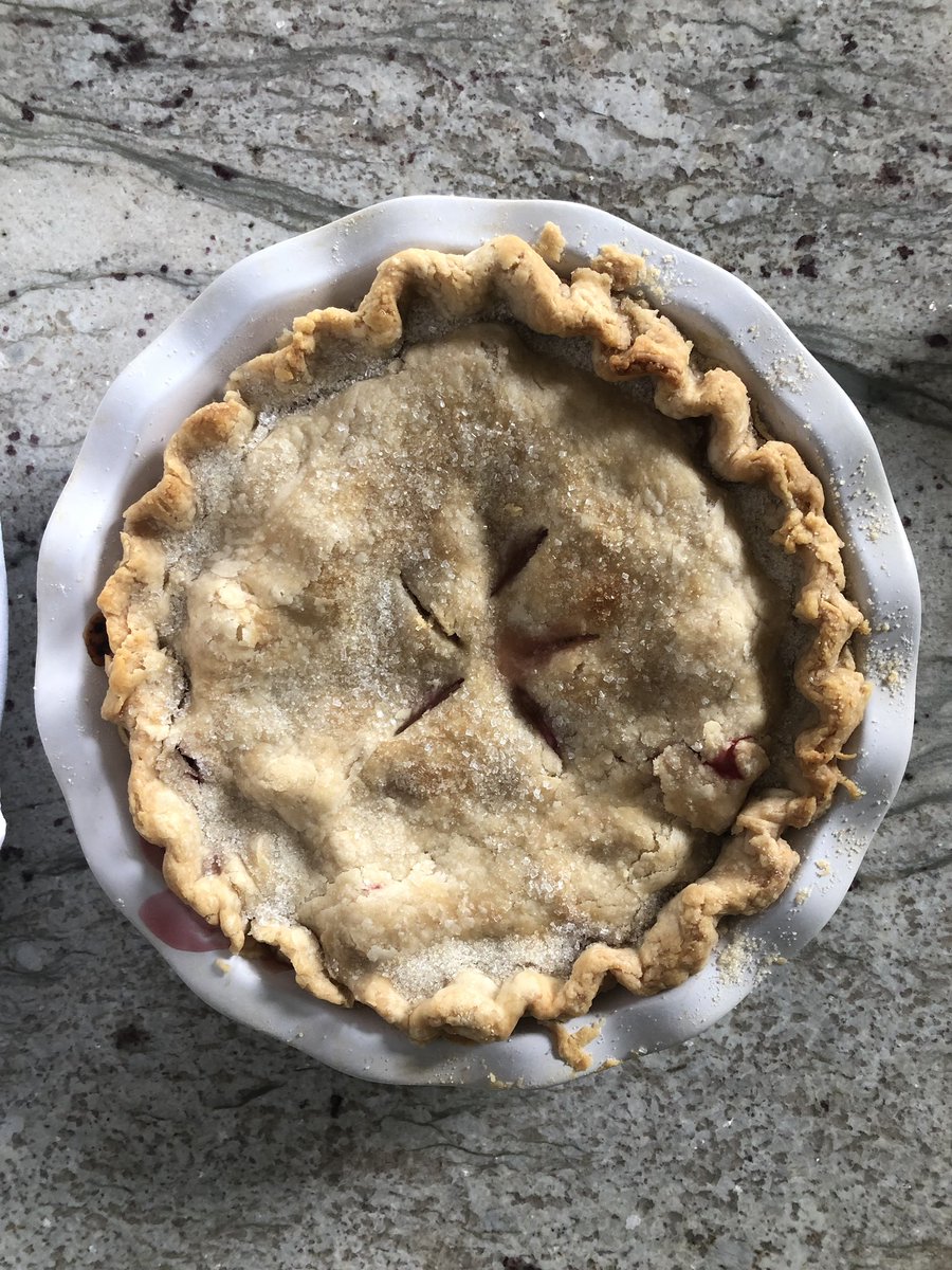 susblackburn's tweet photo. Rhubarb pie with crystal sugar topping.  We ate it for breakfast https://t.co/NEyJuzOSje