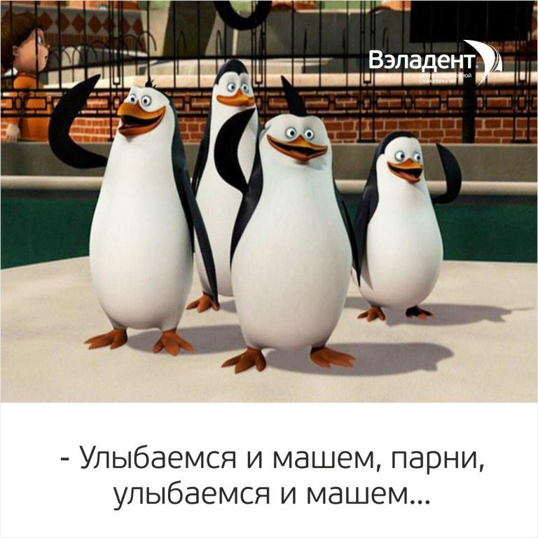 ярче смешные картинки улыбаемся и машем яркость растущих подножия