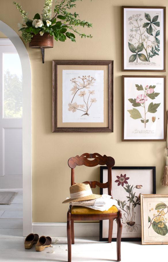 Spring continues – right through the entryway 🌼 Shop these botanical prints through the link! bit.ly/2UZnpH5