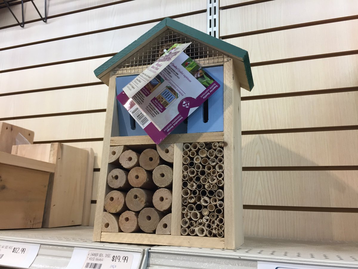 Mason bee houses are easy to find these days but most are poorly designed death traps. Please don't buy them.