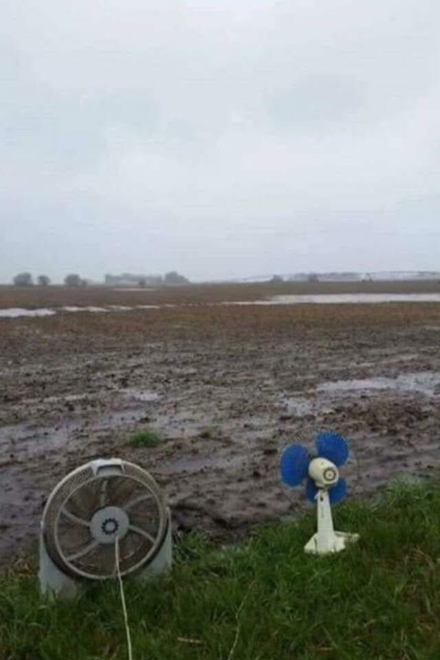 powellseeds's tweet photo. I know we’re all anxious to get into the fields- but don’t worry. I got this. https://t.co/A6Xmy049DA