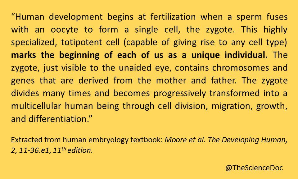 TheScienceDoc's tweet photo. From embryology we know that our life begins at fertilization, when the unicellular embryo (zygote) is formed. The unborn is not "potential life", it is already a live unique human being. #scienceisprolife https://t.co/K8oRJvXW5P