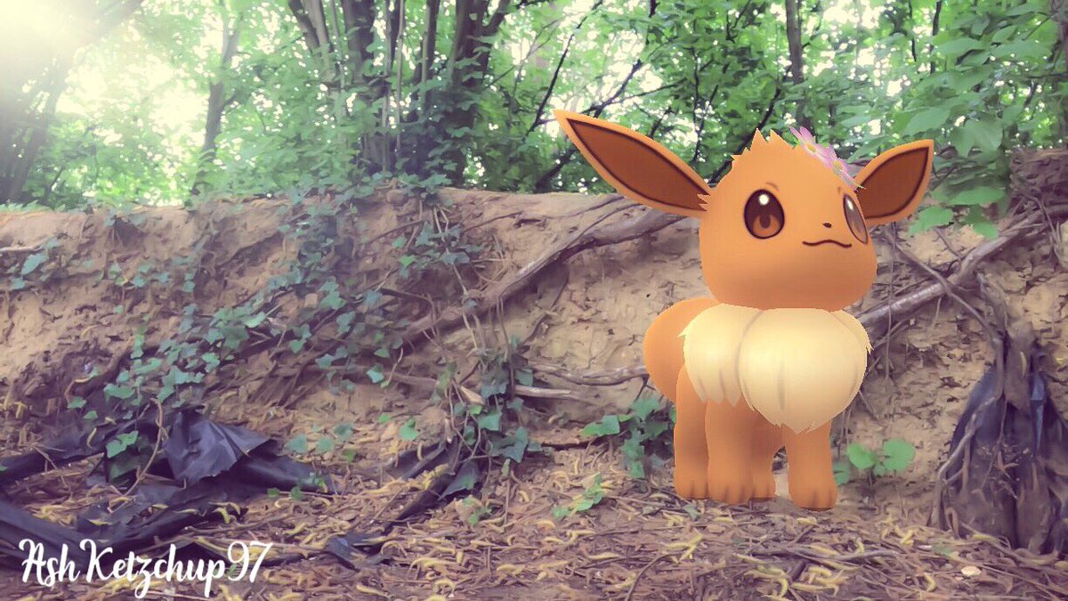 ashketzchup's tweet photo. Do you remember @zoetwodots impression series of other Pokémon GO youtubers? That video has inspired me to impressionate some influential AR photographers! Can you guess them all?!📸
#GOSnapshot #PokemonGO #ポケモンgo #ZTDNews #DailyPOGOar #GamepressSnaps https://t.co/5SqHzJhOza