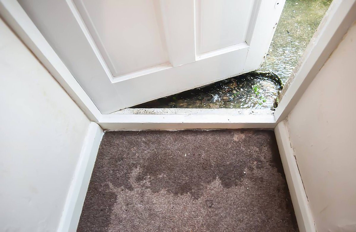 trustrestorepro's tweet photo. We have the best equipment and fast-responding team to quickly dry out your commercial or residential property.

RestorePro Reconstruction is one of the premier water damage restoration experts in Raleigh, North Carolina and the rest of the triangle.

#trustrestorepro https://t.co/g5sSAA2Ayc