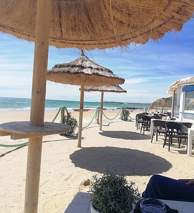 Siamociochemang's tweet photo. Sonne, Strand und Meer #conil #conildelafrontera #urlaub https://t.co/4KEMvnwMkg https://t.co/l2OOGEMBag