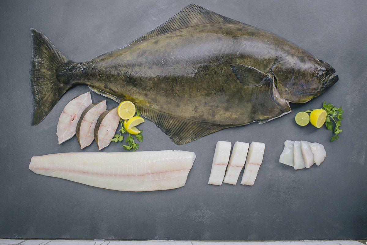 pacific halibut