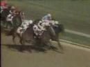 DeepSportsTV's tweet photo. #TIS 5/3/1986: #Ferdinand, a 17-1 longshot guided by Jockey #BillShoemaker, won the #KentuckyDerby by 2 lengths https://t.co/wgN17oyDHU https://t.co/fqtGUXhX48