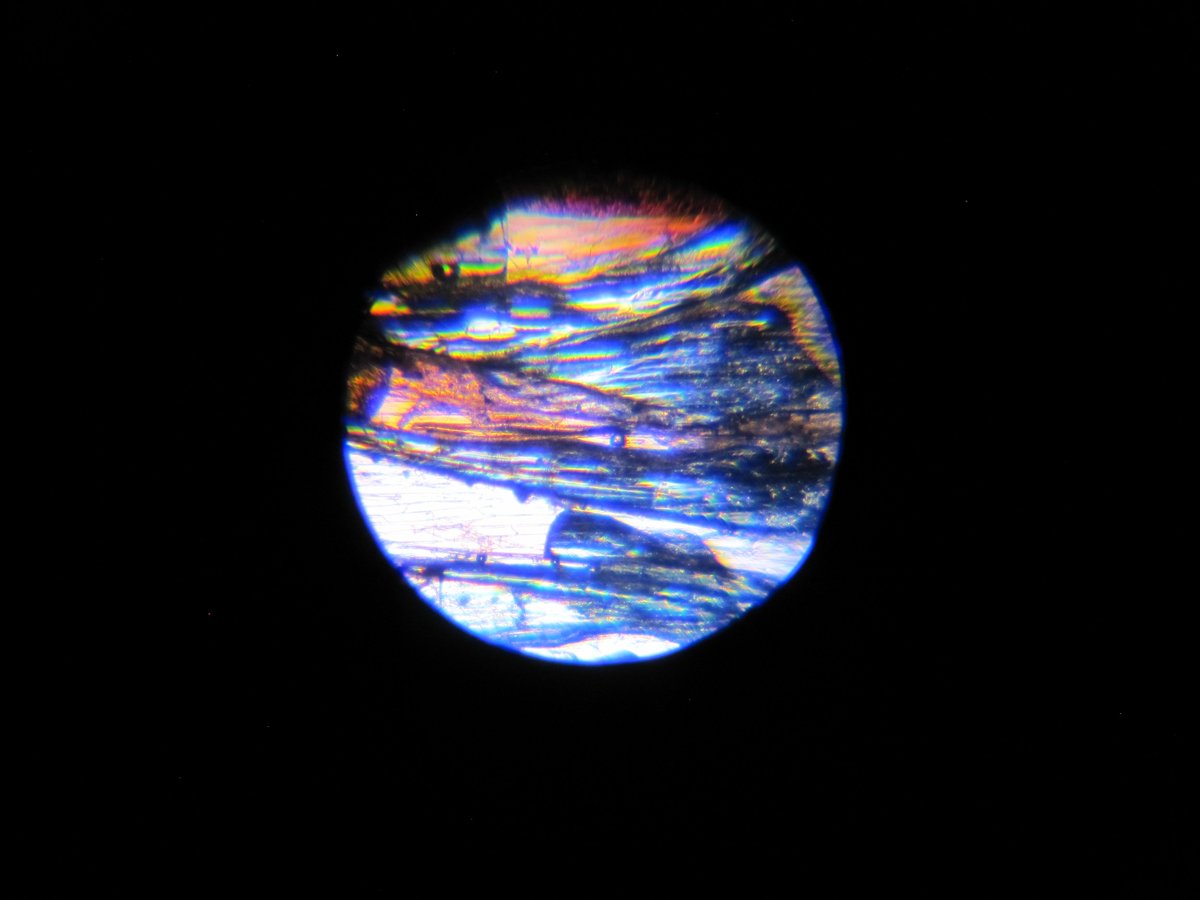 savaslab's tweet image. Here comes my favorite - onion skin! 
40x-100x magnification
A delicate piece of art by nature

#MicroscopeArt
#HaveATerrificScientificDay

with @NL_SUPPORT_Unit