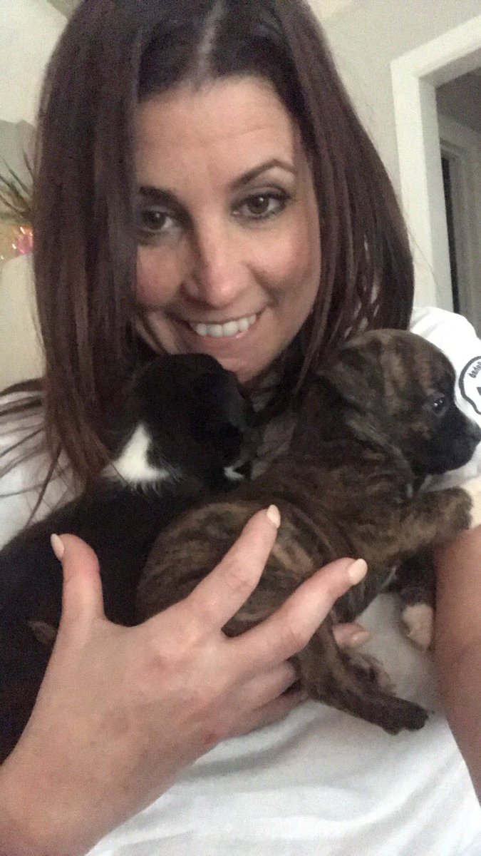 dforil12's tweet photo. Expanding the family!!! @TbernickeTricia @denson1539 #puppylove #CHILISLOVE https://t.co/LnMp2ryriK
