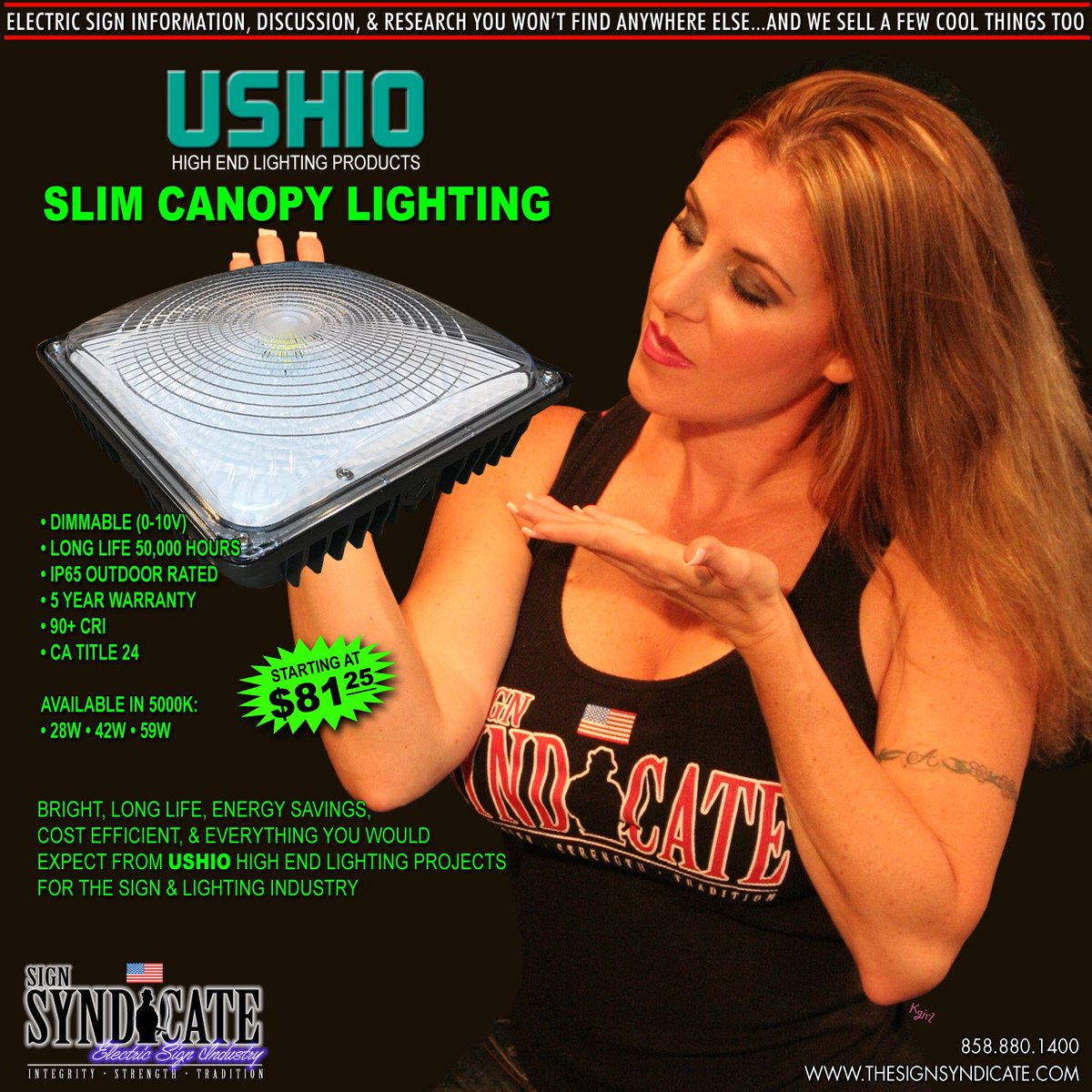 TheSignSyn's tweet image. High-End USHIO Slim LED Canopy Lighting...FREE SHIPPING on orders 12 or more!!!...