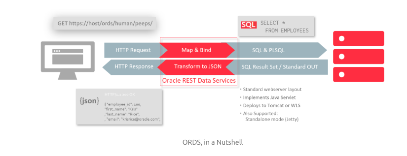 OracleDatabase's tweet image. Introducing the Database Management REST API for your Oracle Database. Find out more now. #OracleDatabase @thatjeffsmith ora.cl/NJ1BC
