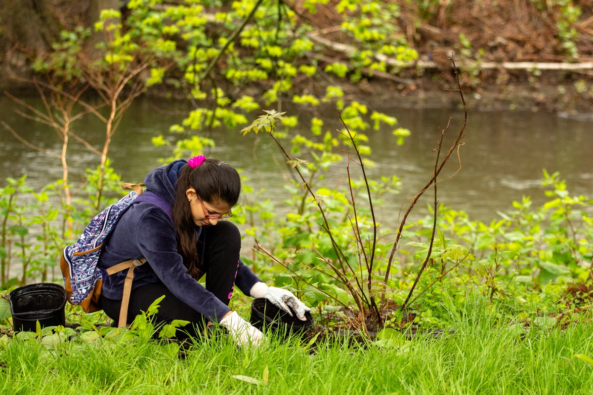 LackawannaHVA's tweet photo. Students from schools across the #ScrantonSchoolDistrict braved this morning's rain to plant more than 300 #trees along the #LackawannaRiverHeritageTrail today! The trees were generously donated by @PPLElectric!
#ShadeTreeCommission #ArborDay #Scranton #LackawannaCounty https://t.co/t5i0lwOQ3n
